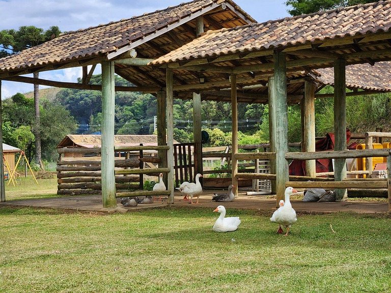 Linda Chácara a 20 min do centro de Curitiba