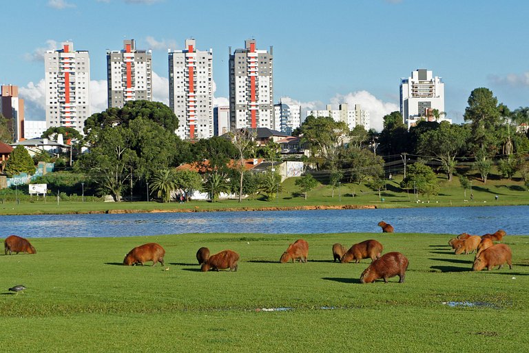 Estúdio One Ecovile: Coworking, Cozinha Compartilhada e Vist