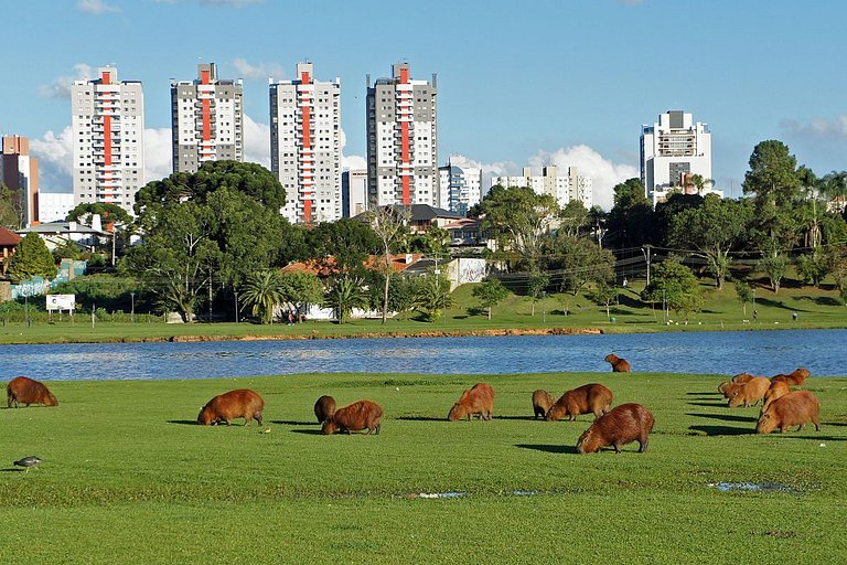 Prédio fantástico no bairro mais requisitado de Curitiba