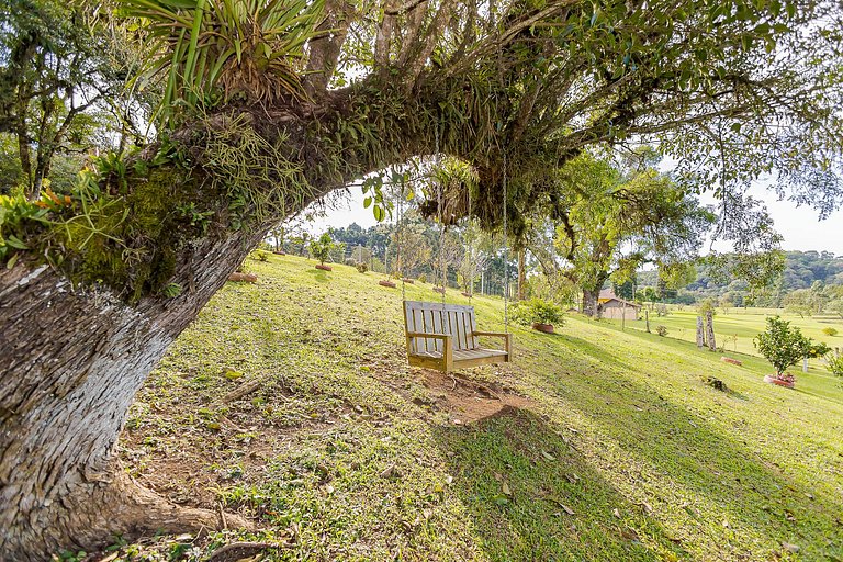 Natureza | Piscina | Chalé Gralha Azul | C237