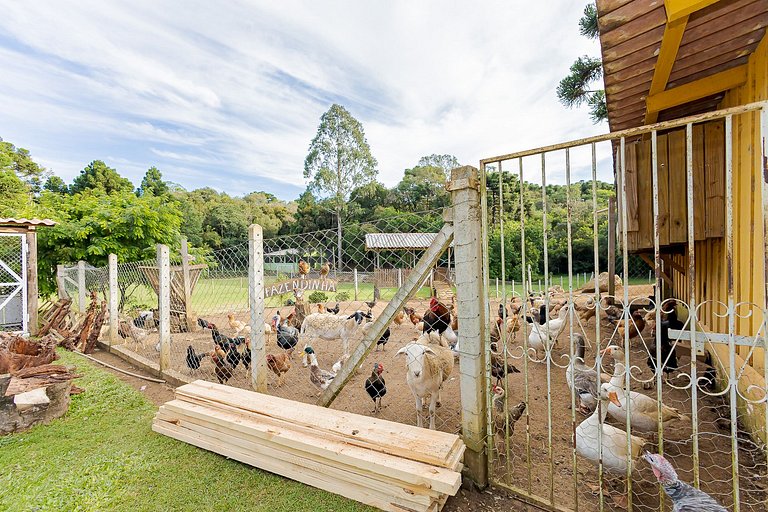 Chácara Santa Rita - Campo Magro