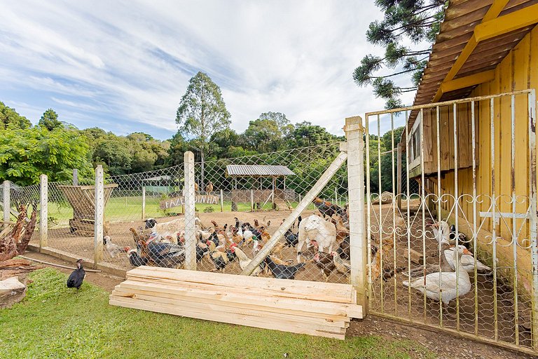 Natureza | Piscina | Chalé Gralha Azul | C237