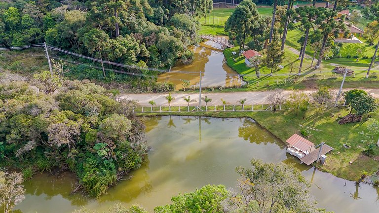 Natureza | Piscina | Chalé Gralha Azul | C237